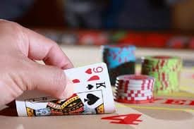 Sports betting scenes on the bd baji platform